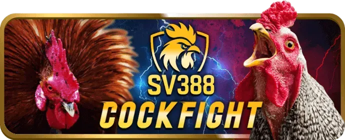 Chương trình VIP độc quyền tại 42vn
