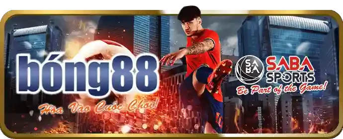 Hoàn trả hàng tuần cho các cược thể thao